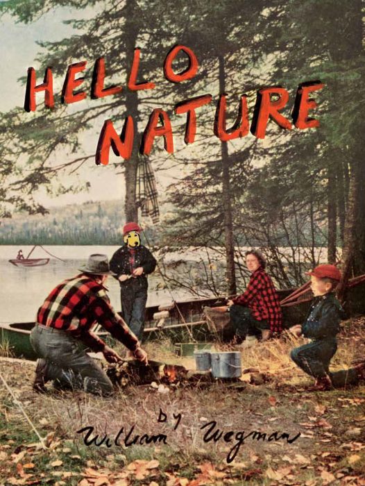 Cover for Hello Nature: How to Draw, Paint, Cook, And Find Your Way