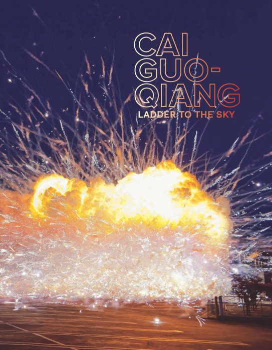 Cover for Cai Guo-Qiang: Ladder to the Sky