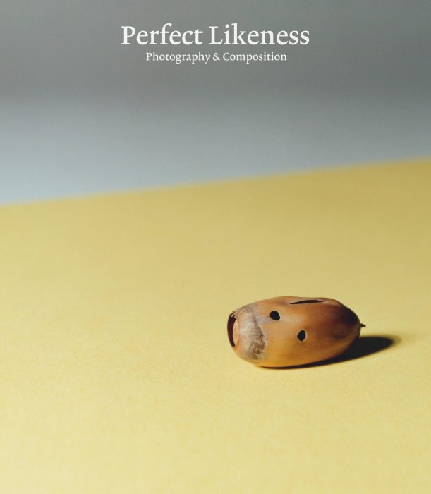 Cover for Perfect Likeness: Photography & Composition