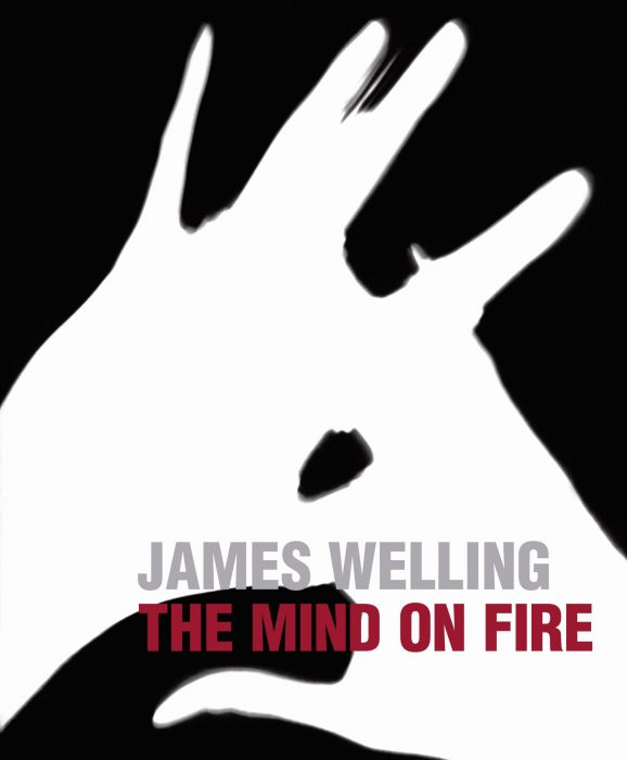 Cover for James Welling: The Mind on Fire