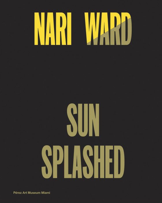 Cover for Nari Ward: Sun Splashed