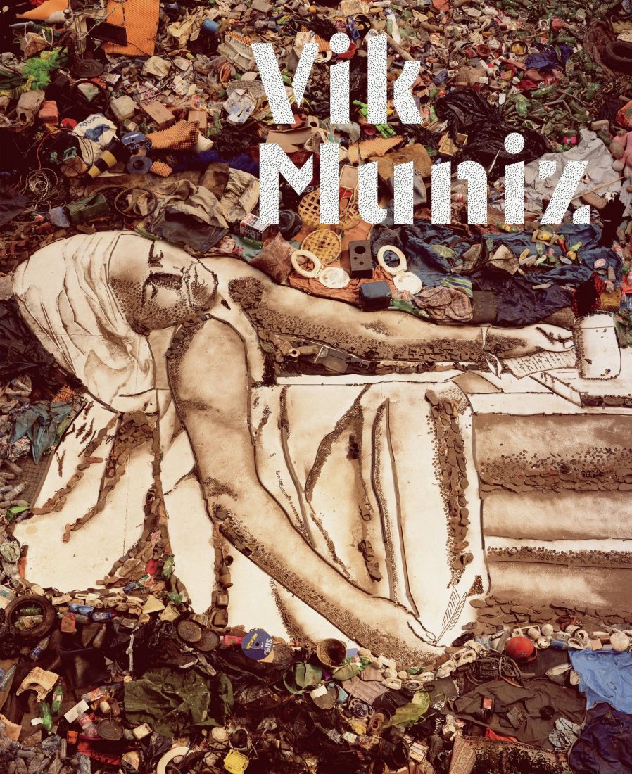 Vik Muniz Delmonico Books