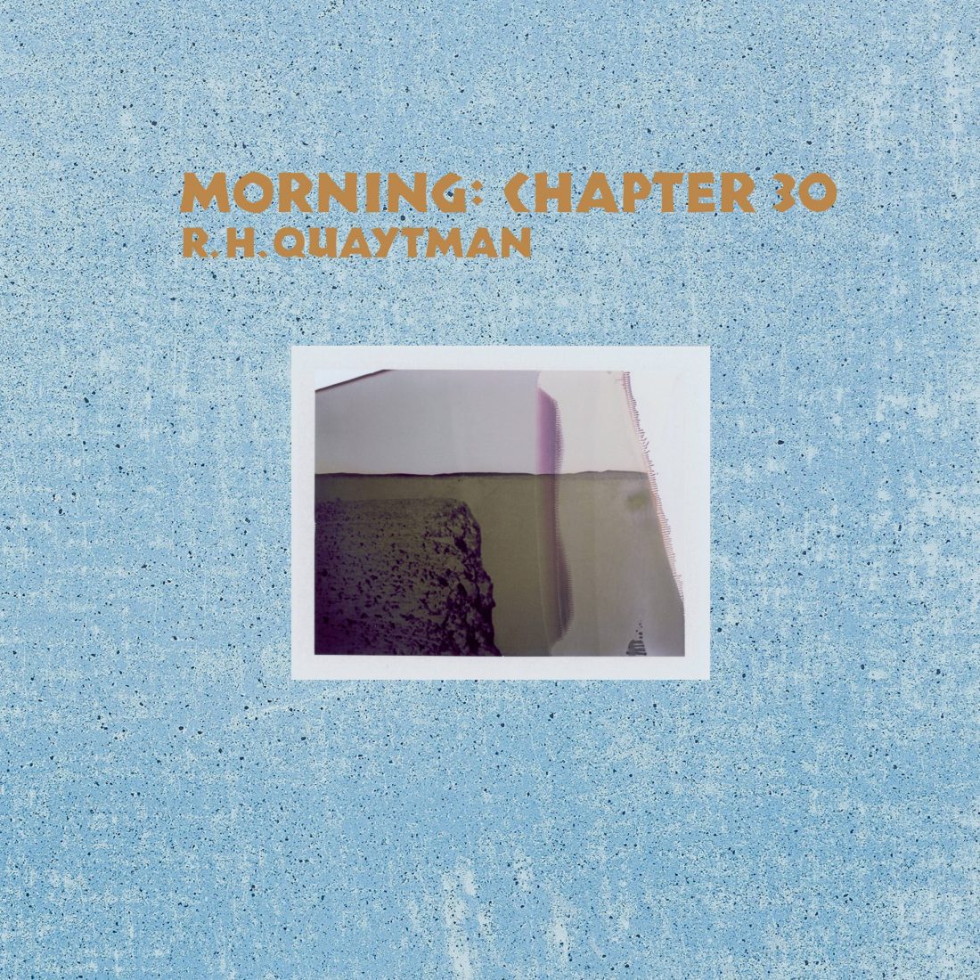 Cover for R. H. Quaytman: Morning: Chapter 30