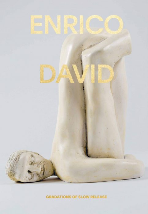 Cover for Enrico David: Gradations of Slow Release