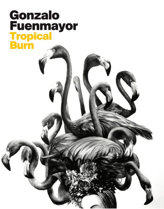 Cover for Gonzalo Fuenmayor: Tropical Burn