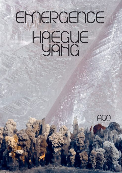 Cover for Haegue Yang: Emergence