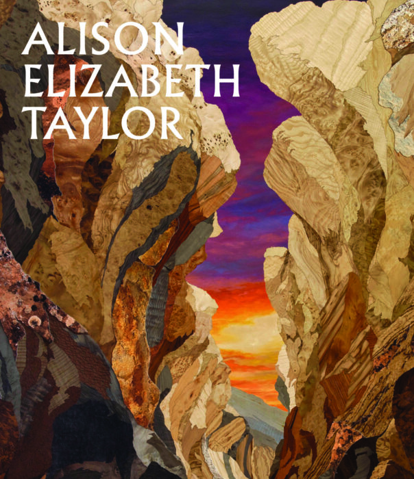 Cover for Alison Elizabeth Taylor: The Sum of It