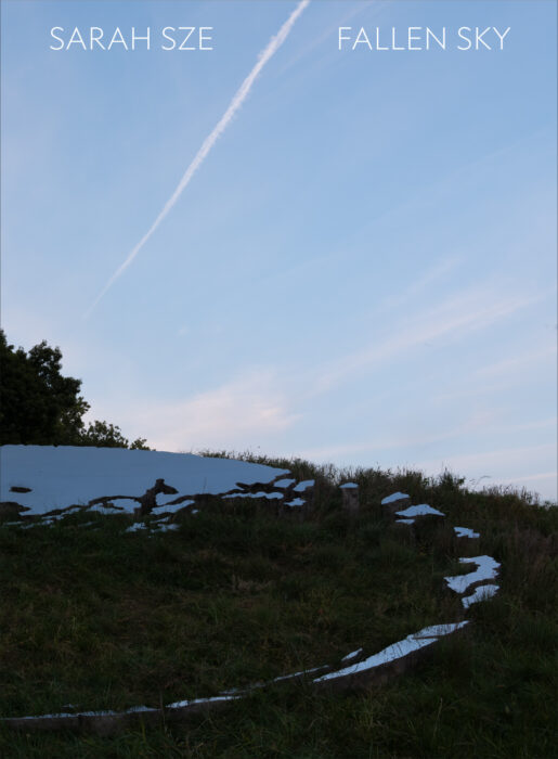 Cover for Sarah Sze: Fallen Sky