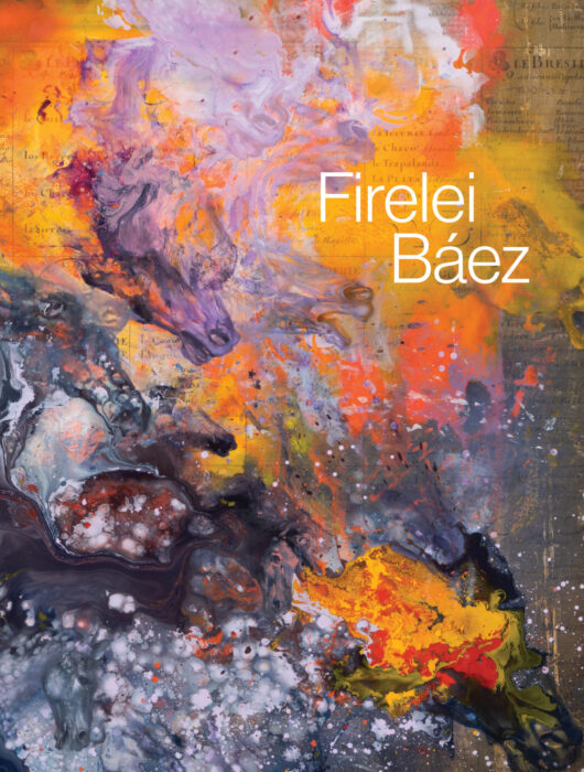 Cover for Firelei Báez