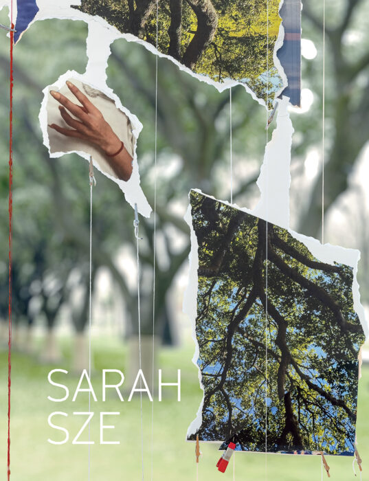 Cover for Sarah Sze