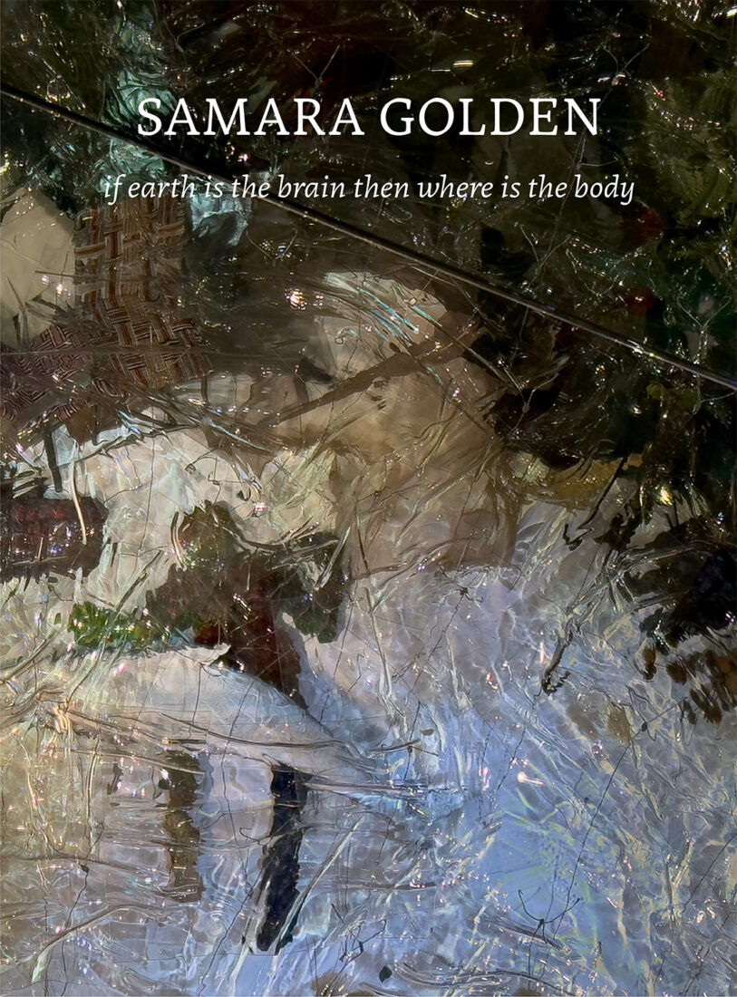 Cover for Samara Golden: if earth is the brain then where is the body