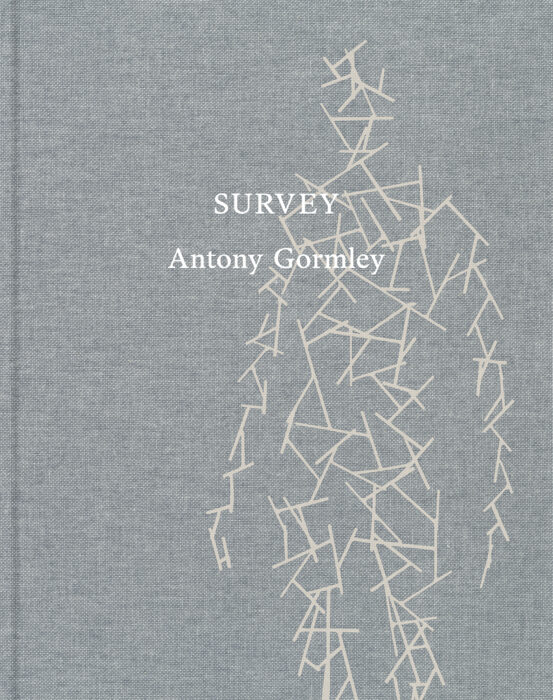 Cover for Antony Gormley: Survey