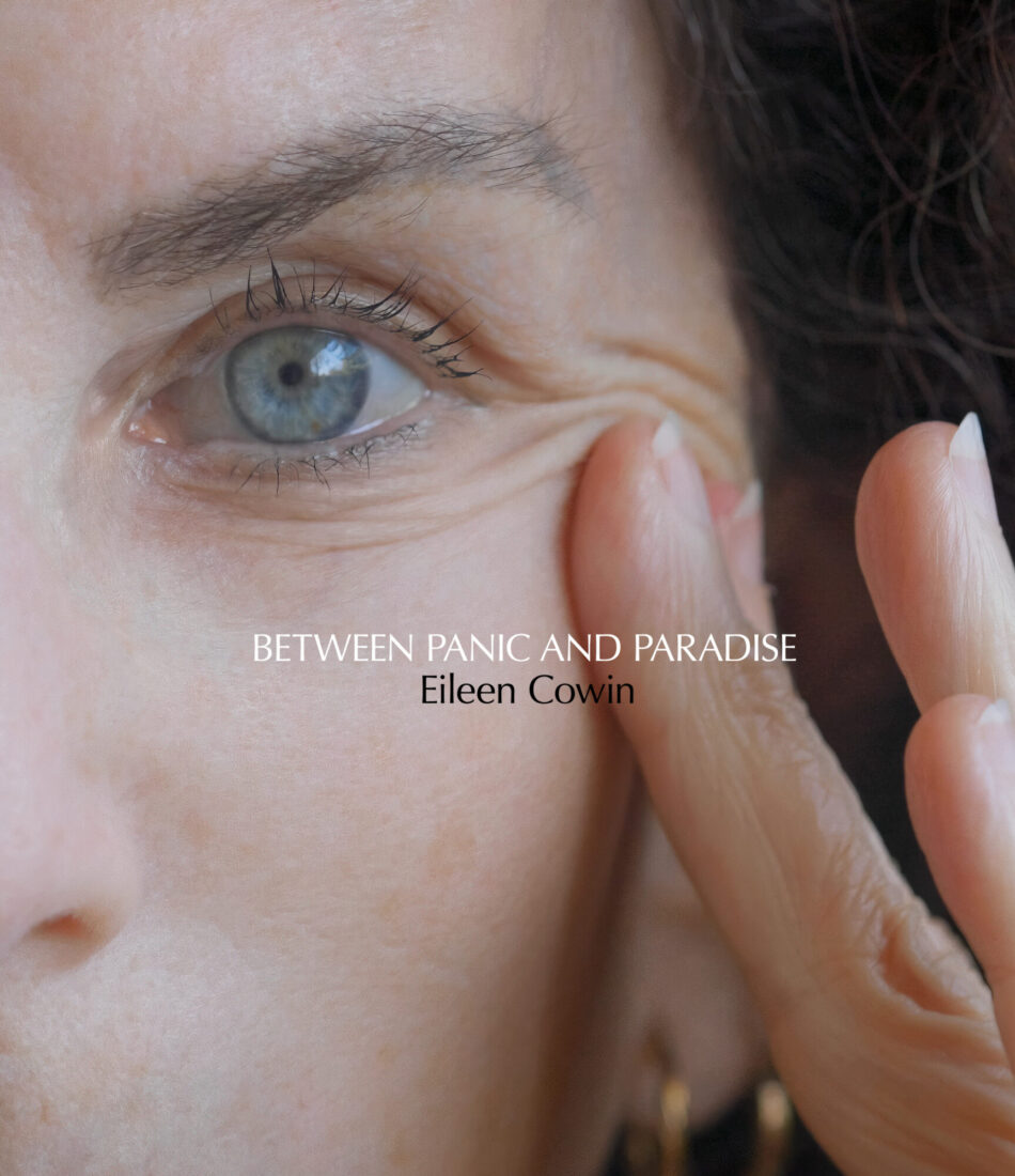 Cover for Eileen Cowin: Between Panic and Paradise